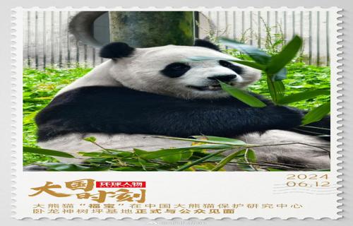 葛夕评价麦琳黄圣依打架如果重来我还会买熏鸡